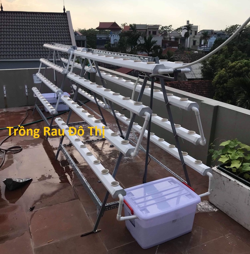Giàn trồng rau thủy canh chữ A 2m, 80 rọ trồng  - Ảnh 1